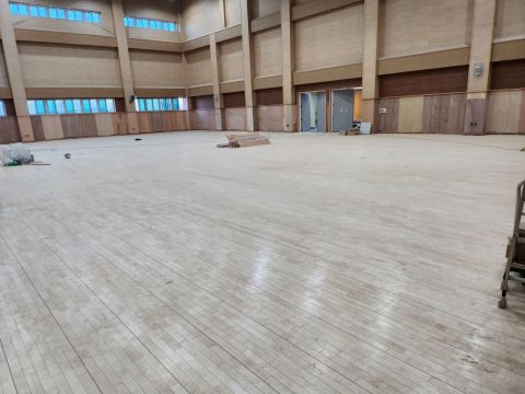 봉담2중학교 (단풍나무).jpg